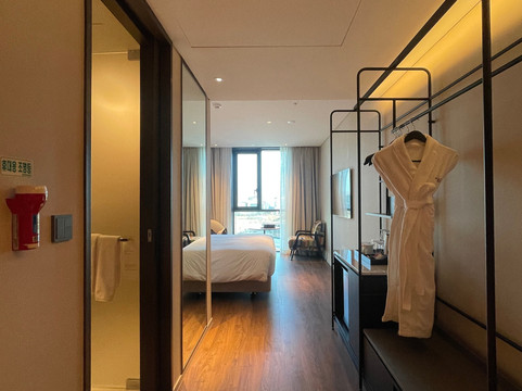 Mercure Ambassador Seoul Magok主图