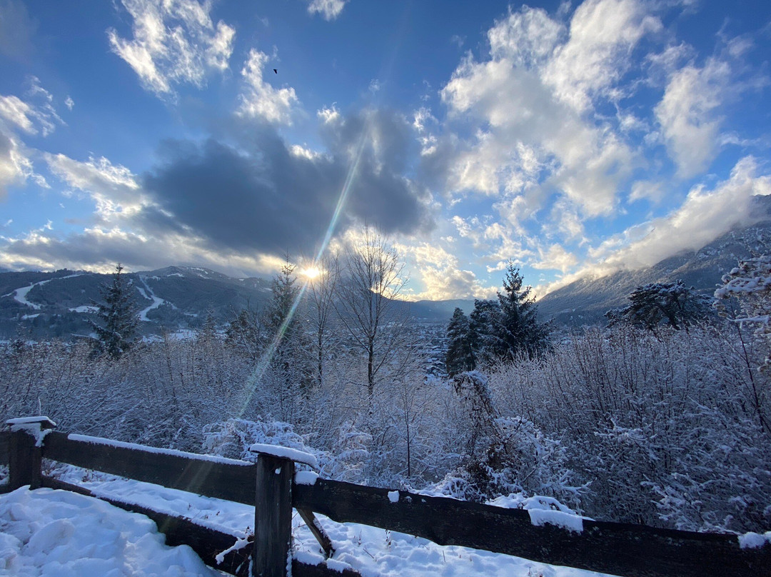 Landhotel & BergGasthof Panorama主图