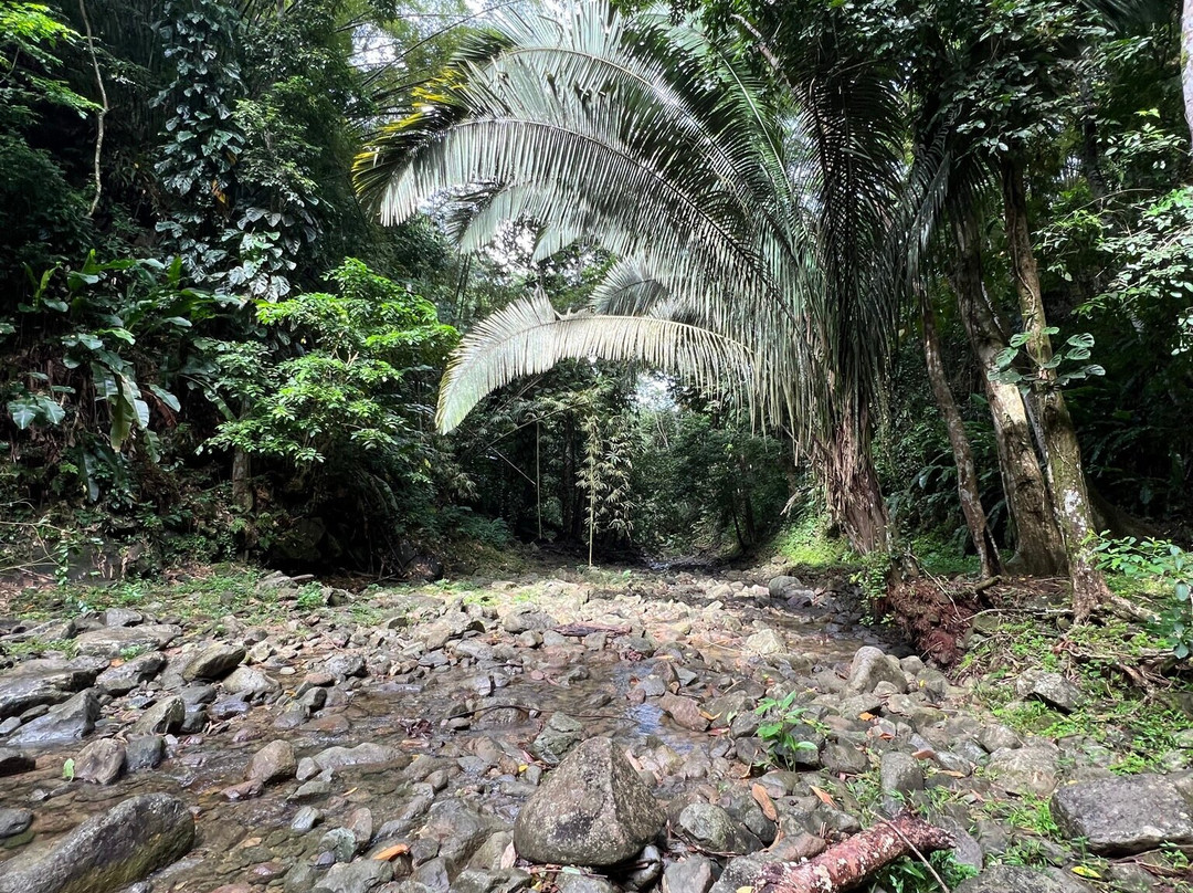 Castara Waterfall-Castara必去景点