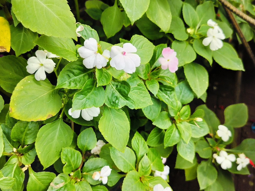 Hotel Amora Premium主图