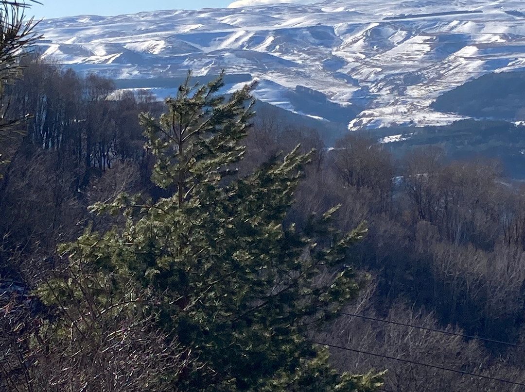 Centrosoyuz-Kislovodsk Spa Hotel主图