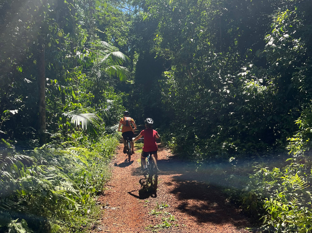 Poco Preto trail-伊瓜苏必去景点