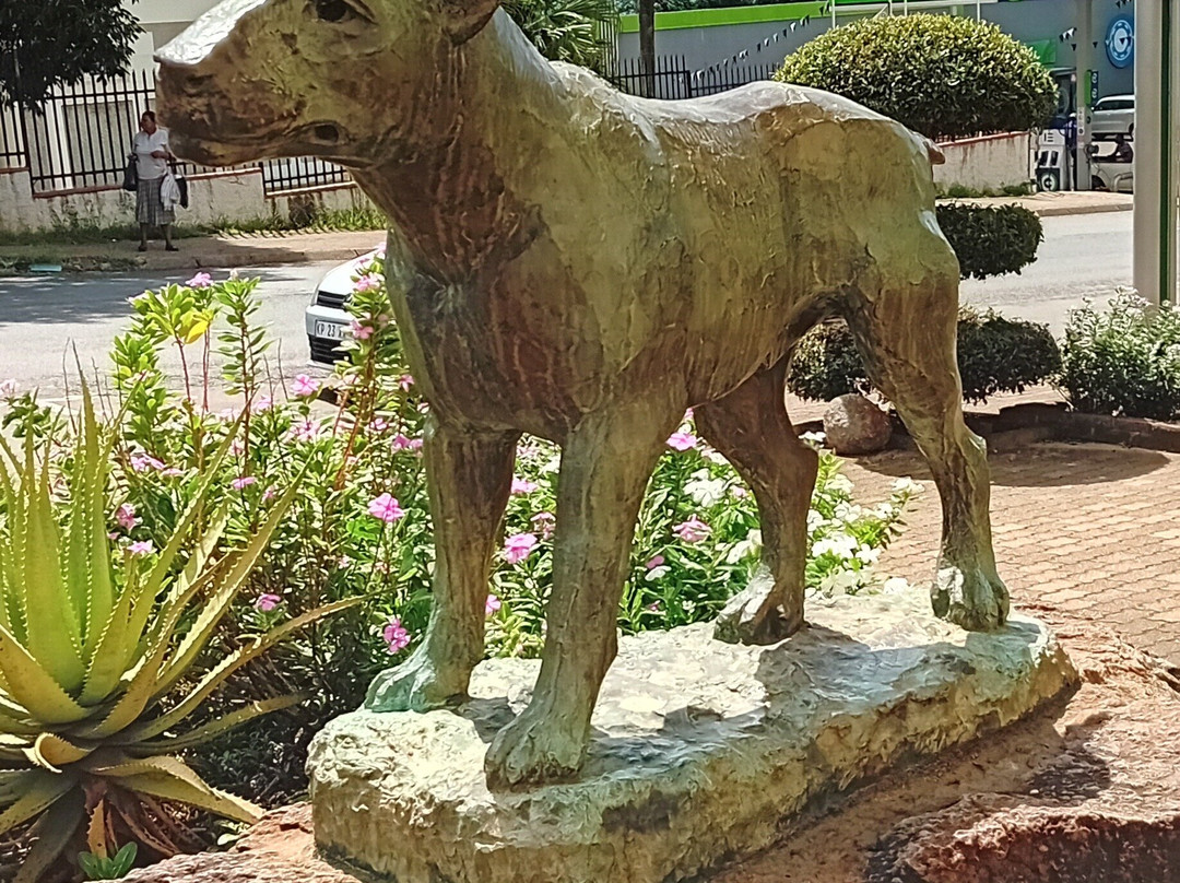 Barberton Museum景点图片