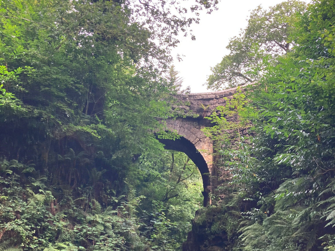 Lydford Gorge景点图片