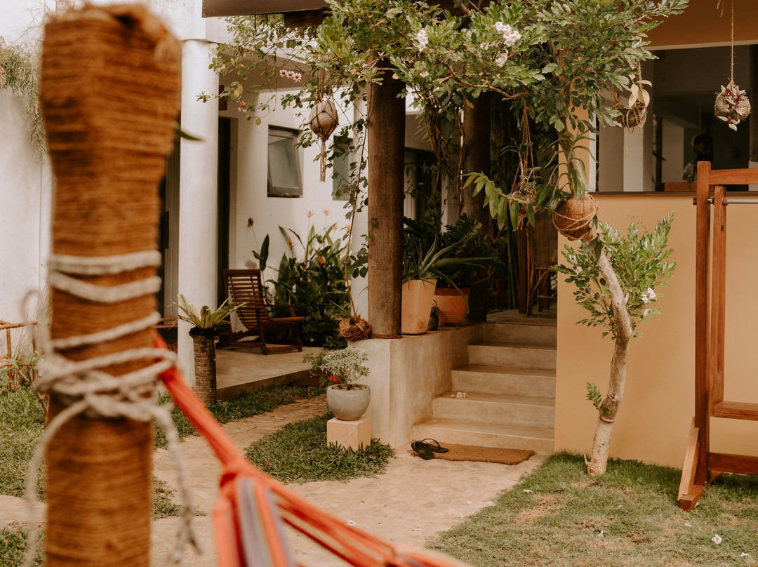 Colours Of Life Home主图