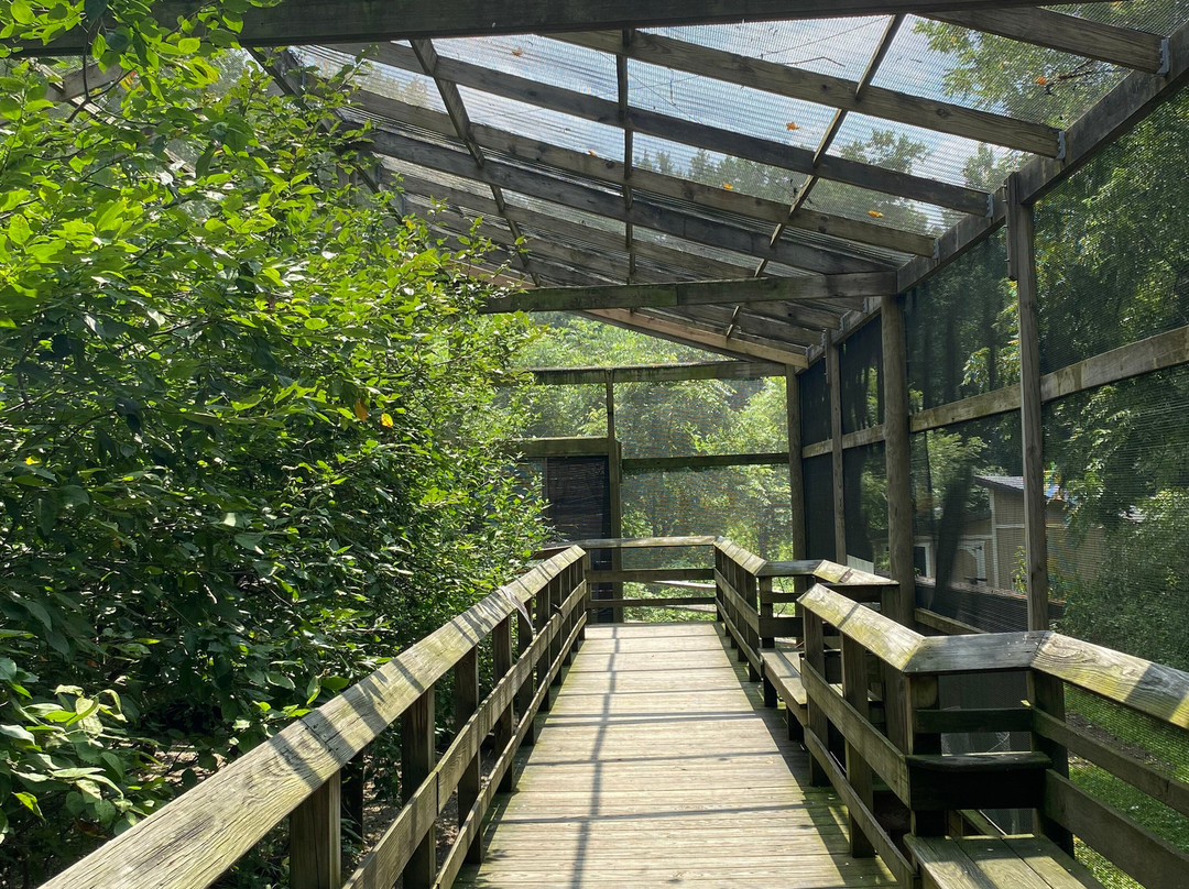 Ohio Bird Sanctuary景点图片