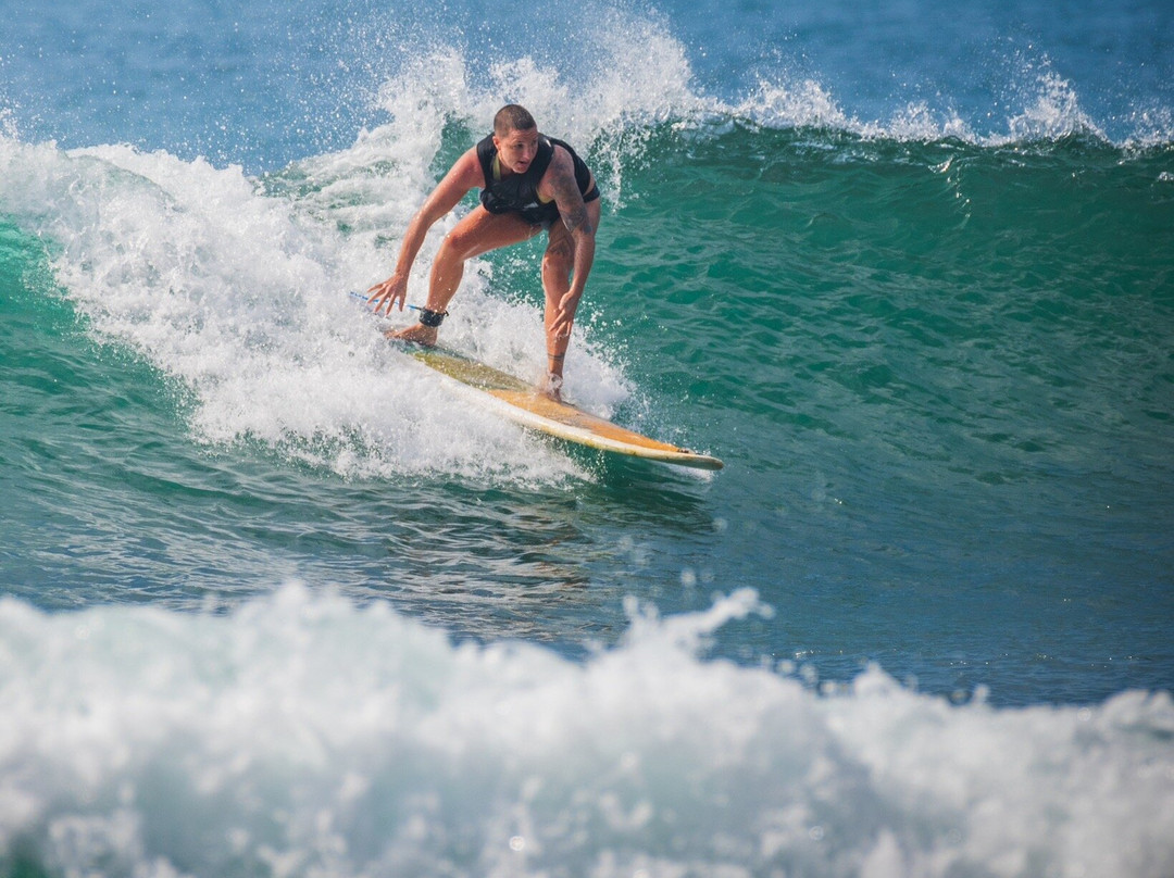 Surf 'n Lanka-瓦勒迦玛必去景点