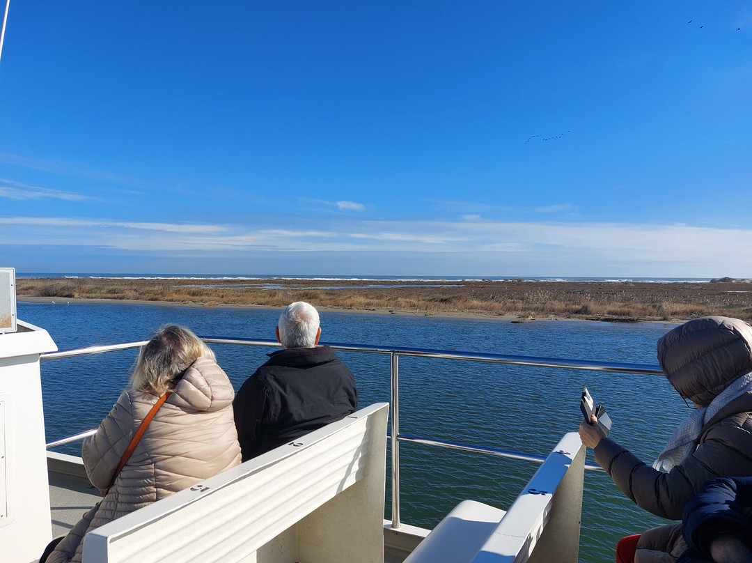 Cruceros Olmos景点图片