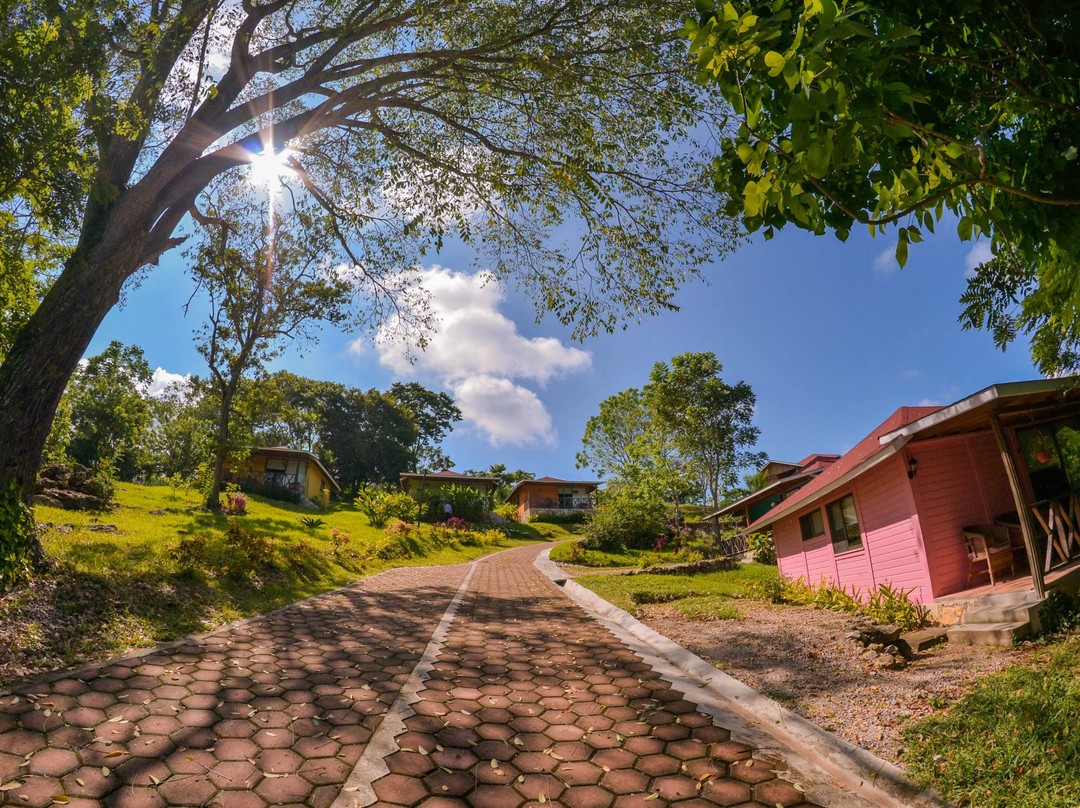 Winika Alterra主图