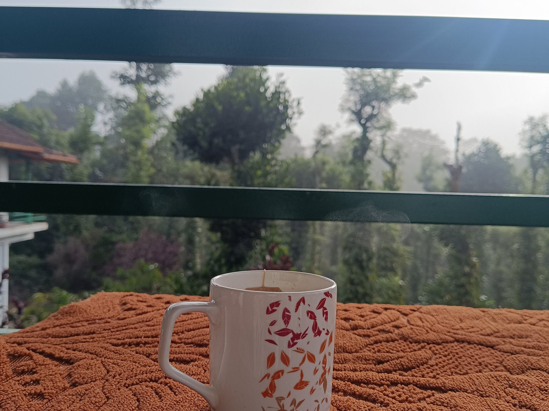 The Suvistara Wayanad主图