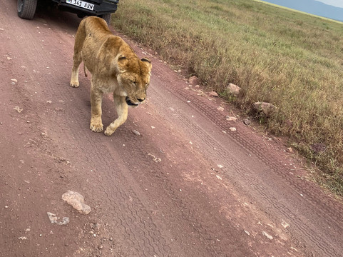 AstazTravel-桑给巴尔市必去景点