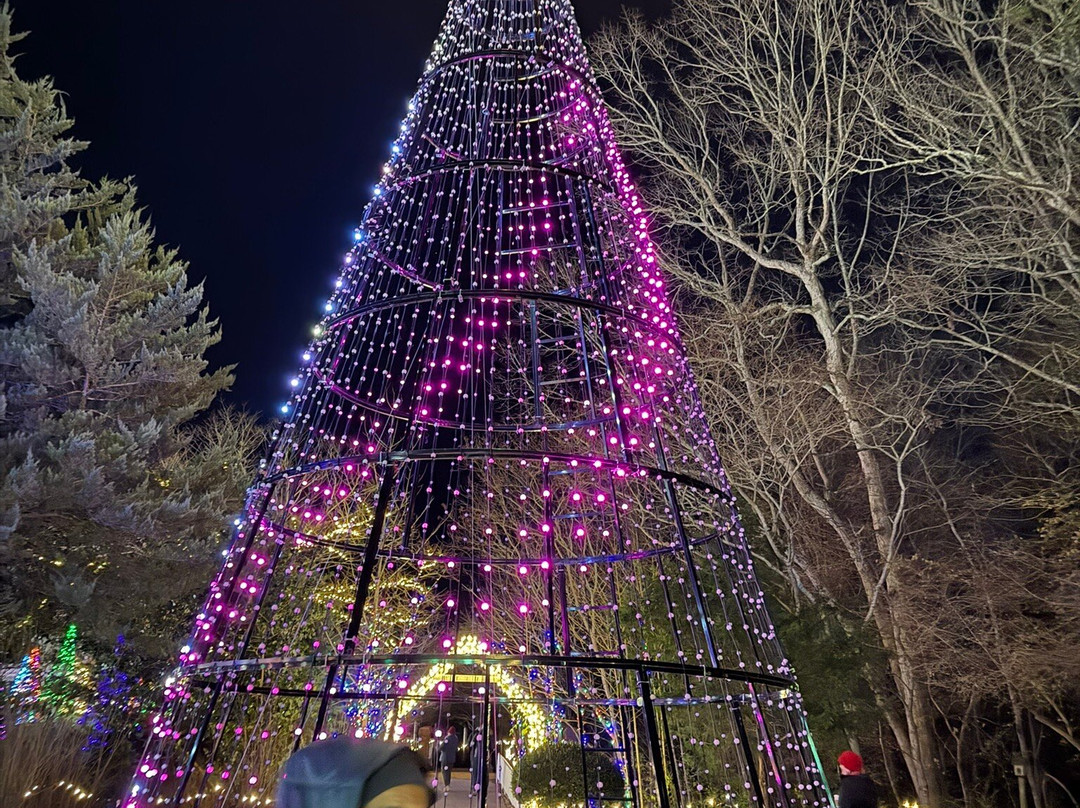 State Botanical Garden of Georgia-阿森斯必去景点