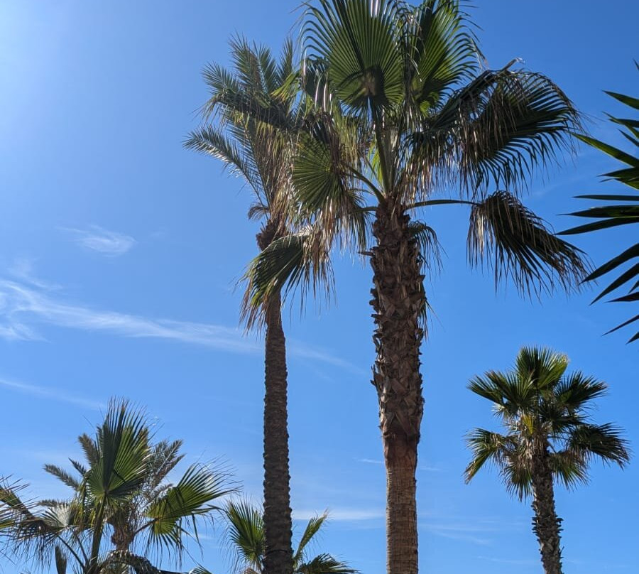 Playa de La Bajadilla-滨海罗克塔斯必去景点