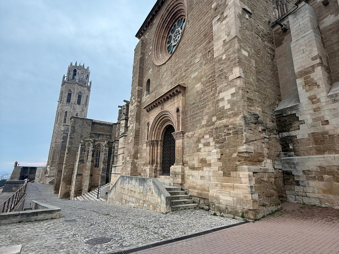 La Catedral Vieja景点图片