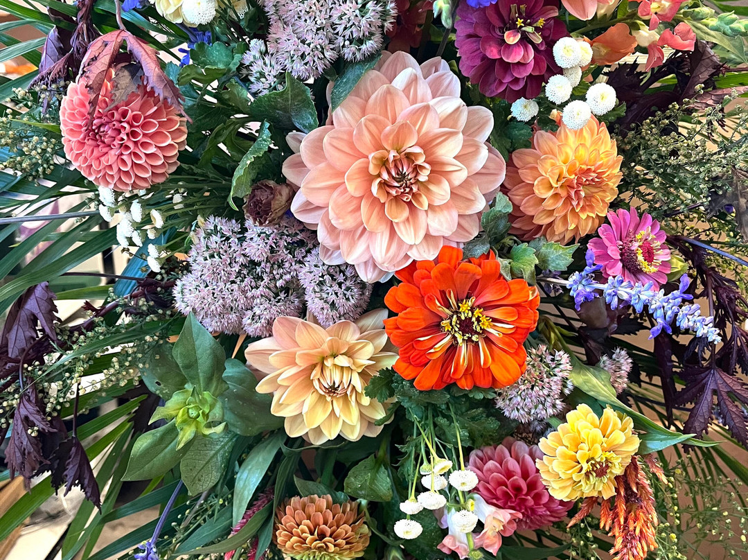 Dahlia Valley Ranch-Arnold必去景点