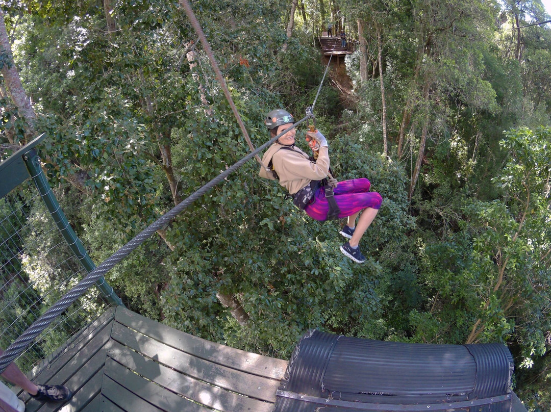 Tsitsikamma Canopy Tours景点图片