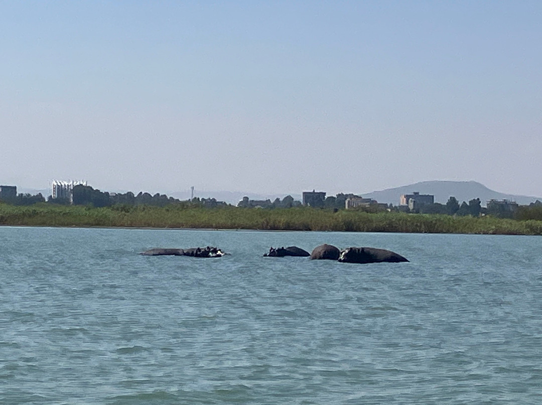 Sabisa Tour-巴哈尔达尔必去景点