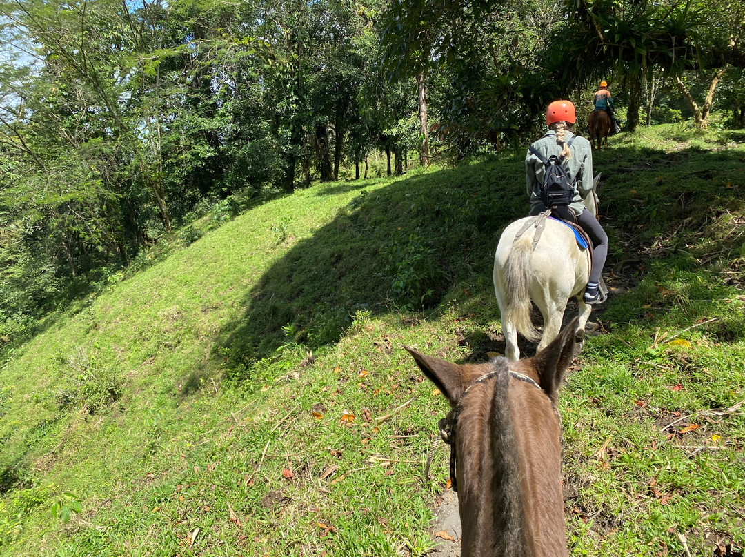 Jacamar Naturalist Tours-福德圣卡洛斯必去景点