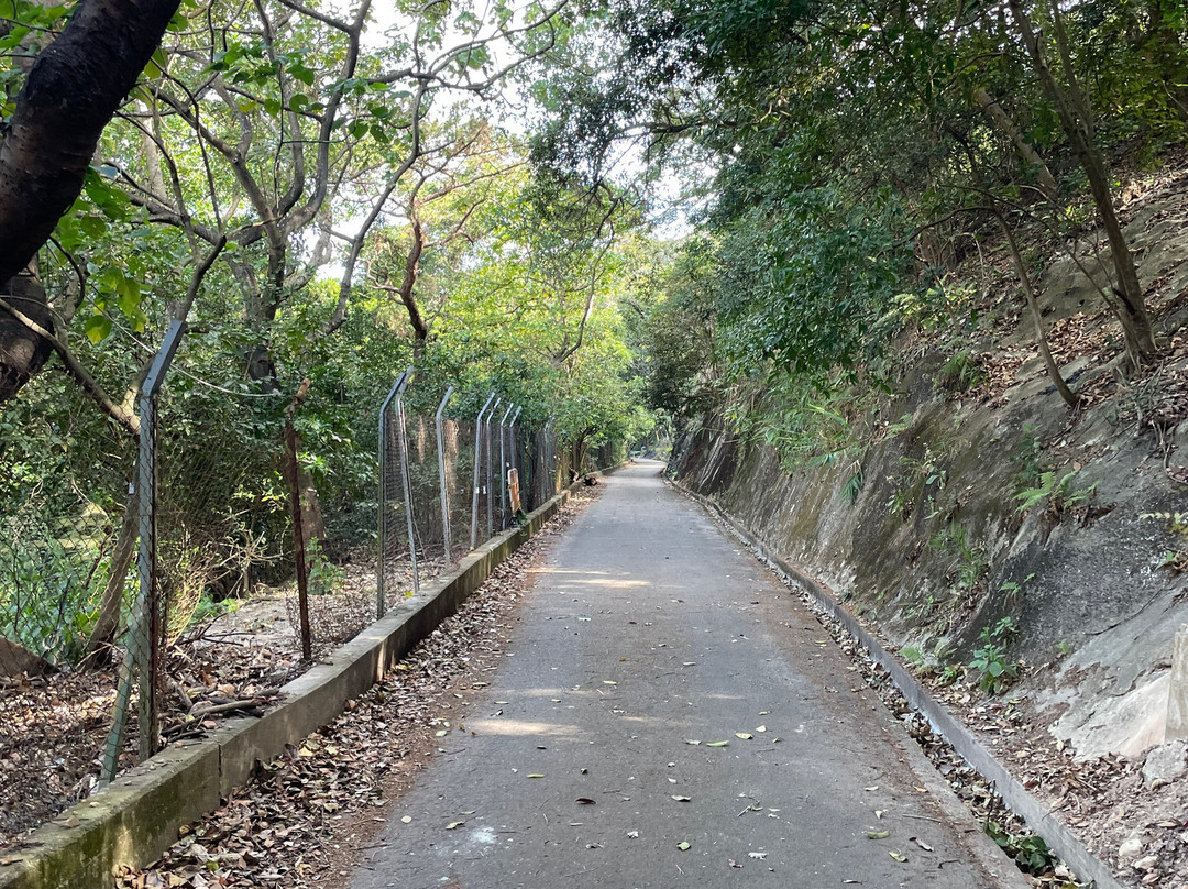 香港仔郊野公园-香港必去景点