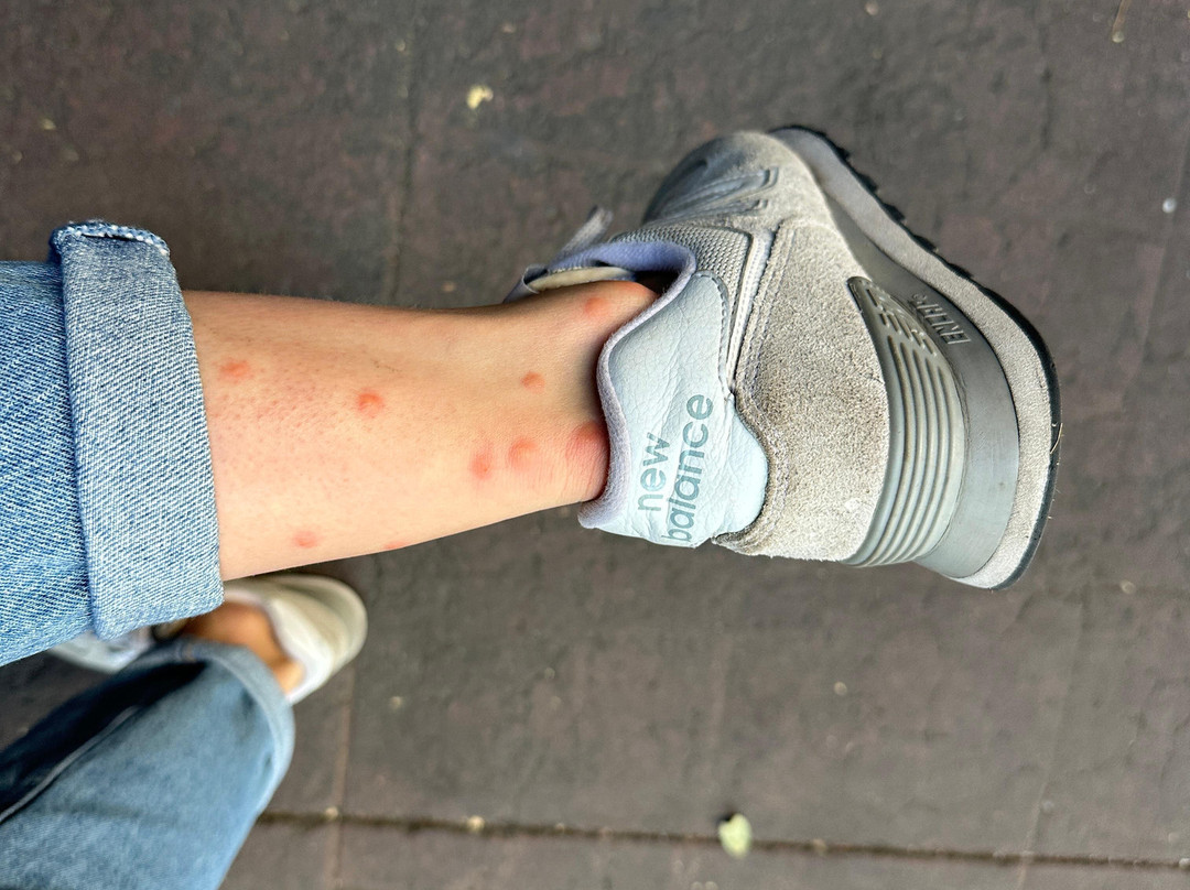 Khaban Bacalar Hotel Boutique主图