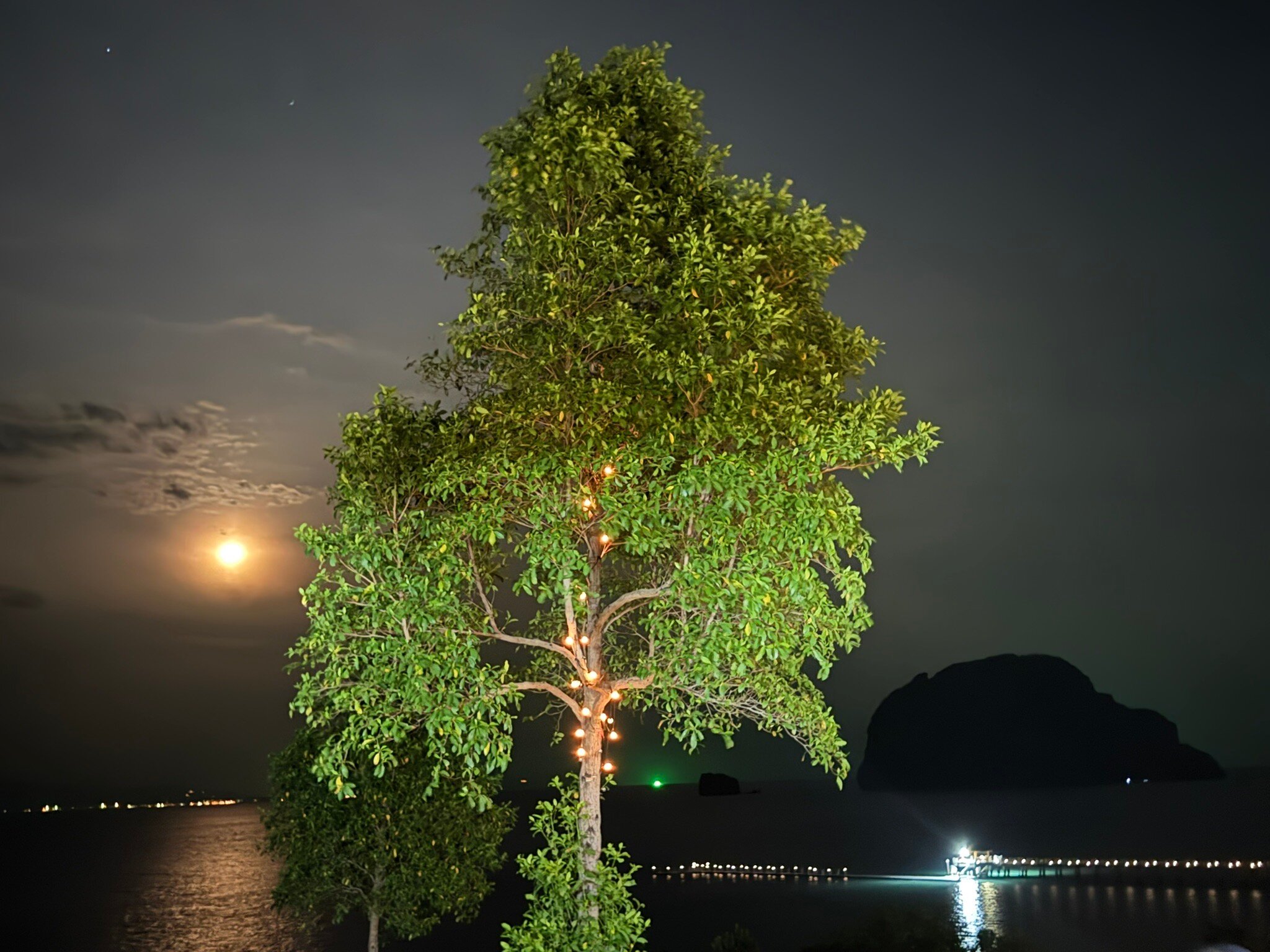 艾斯穆拉达景观度假村-官方
