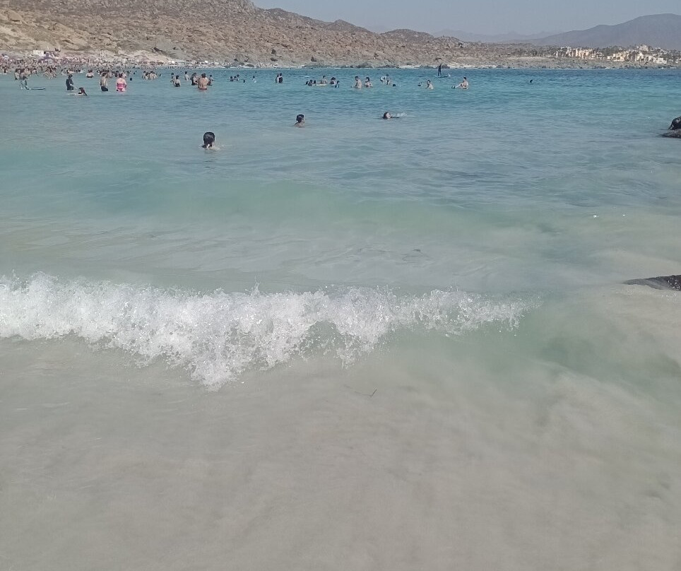 Playa Totoralillo-Coquimbo必去景点