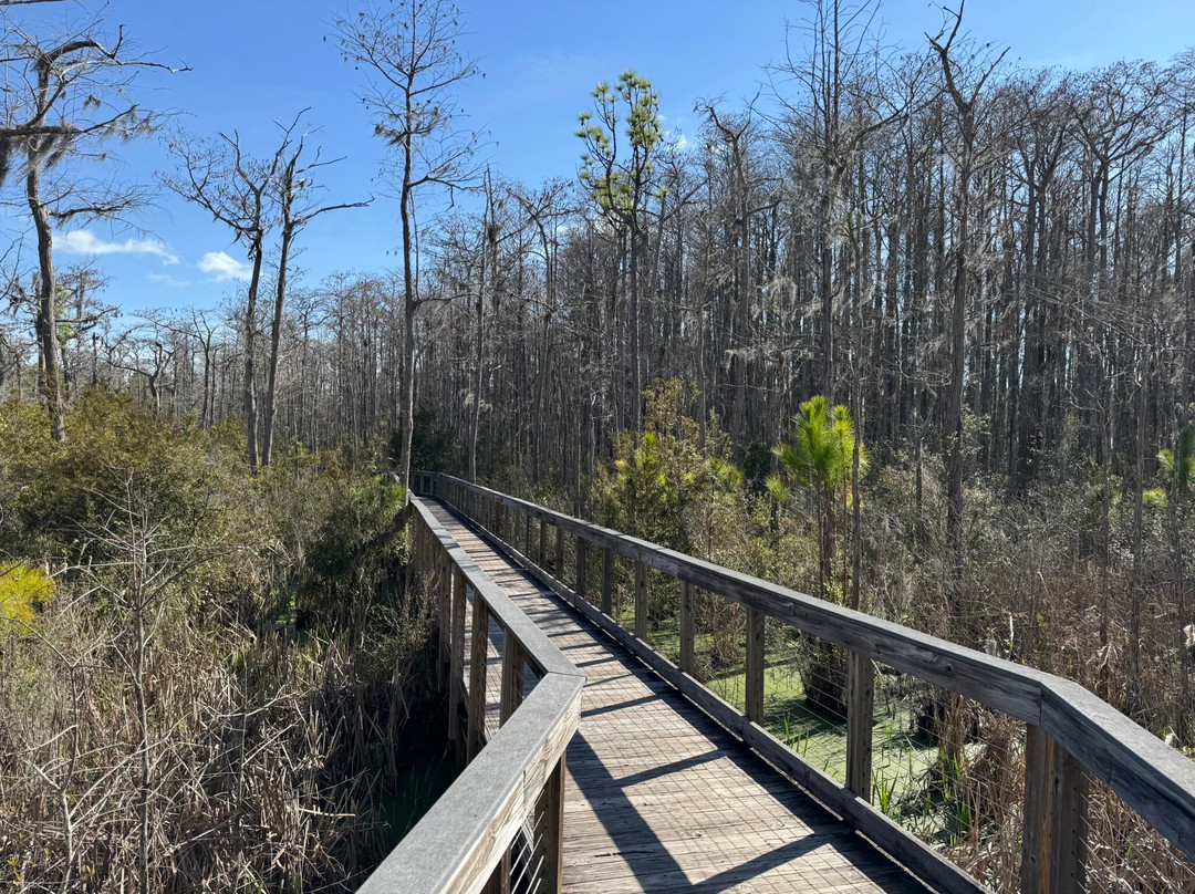 Conservation Park-巴拿马城海滩必去景点