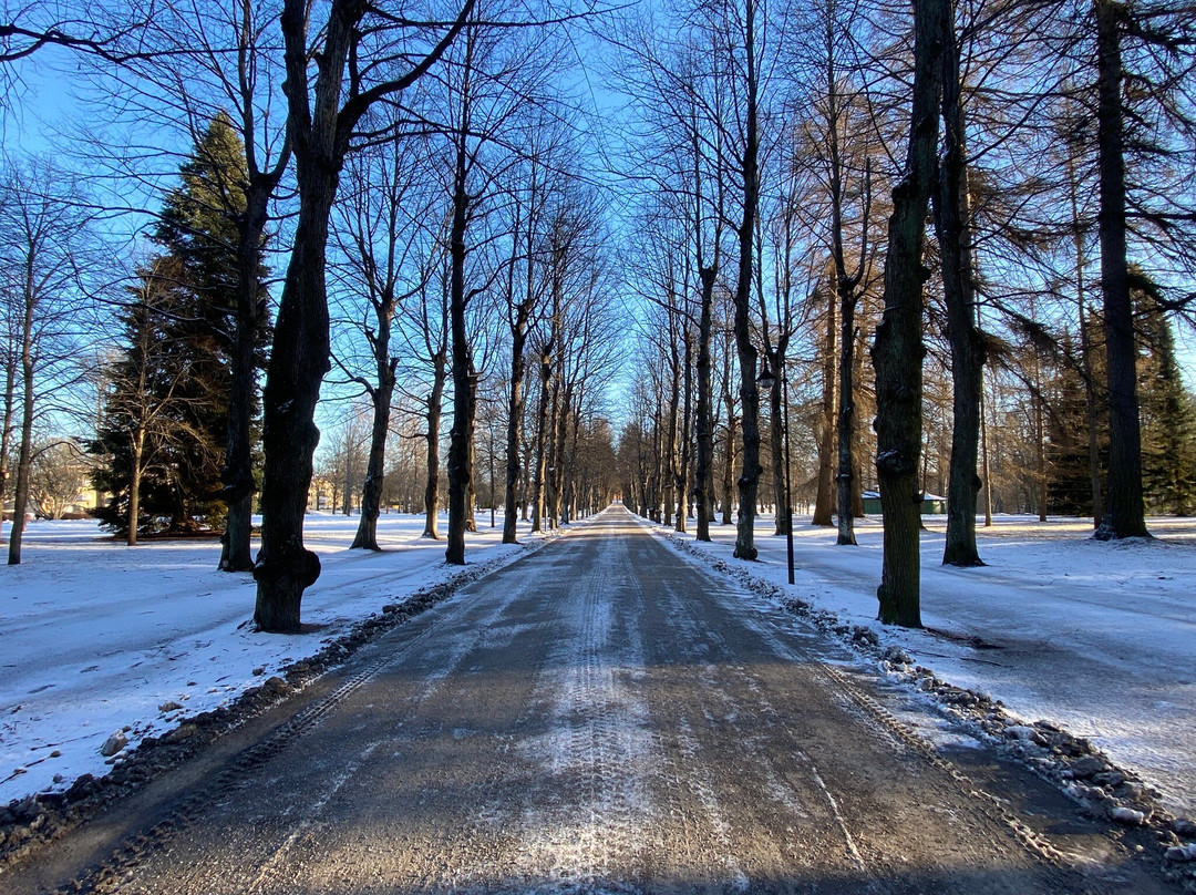 Boulognerskogen City Park-Gävle必去景点