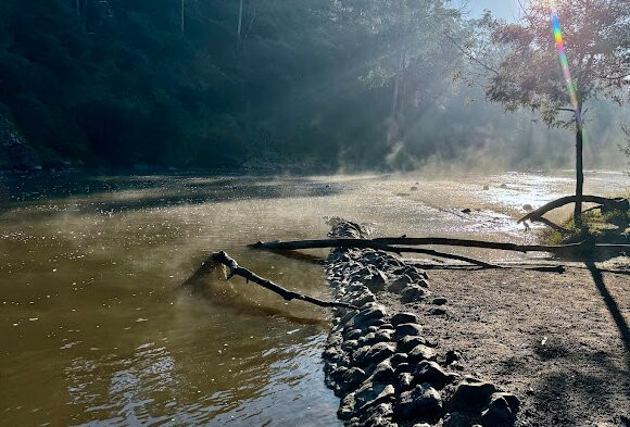 Warrandyte River Reserve景点图片