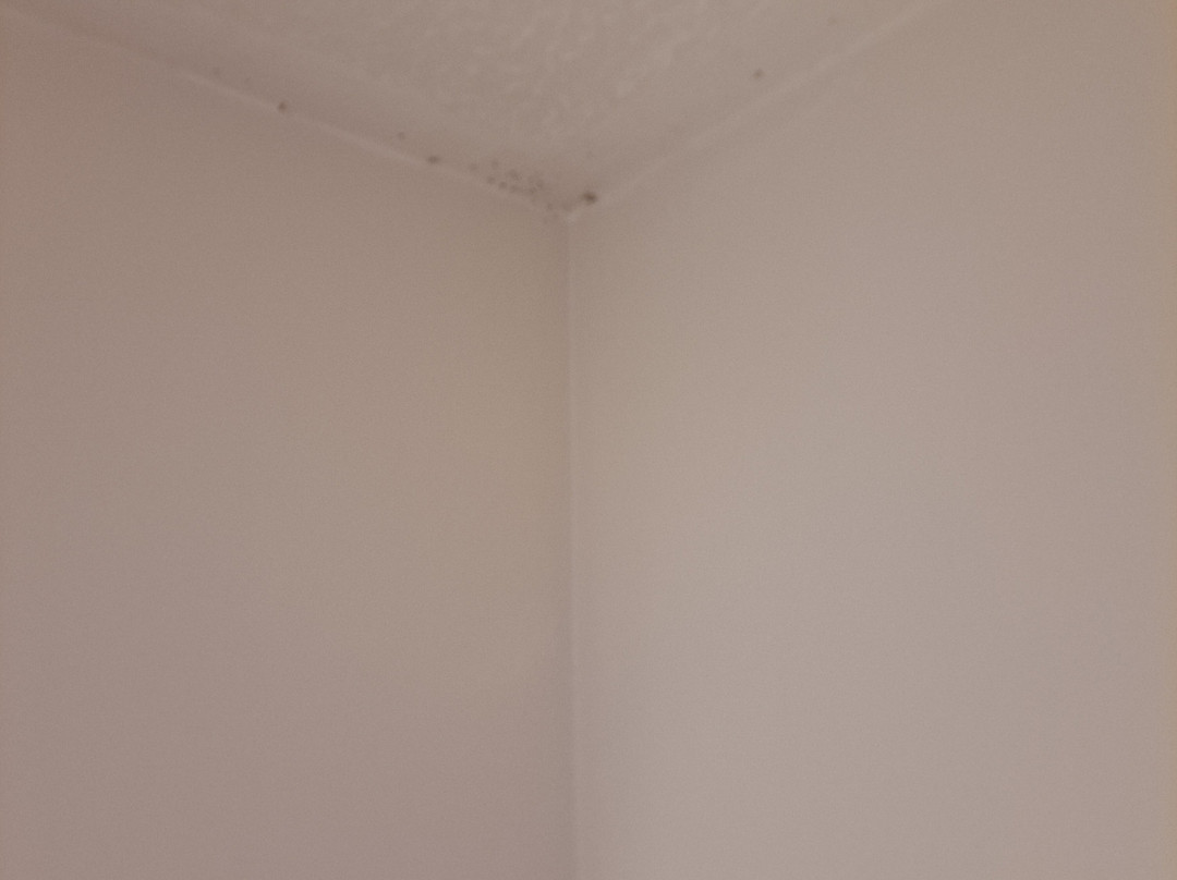 Premier Inn Birmingham Oldbury (M5, Jct2) Hotel主图