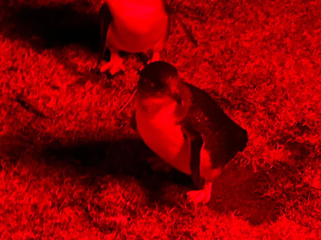 Stanley Heritage Walk-斯坦利必去景点