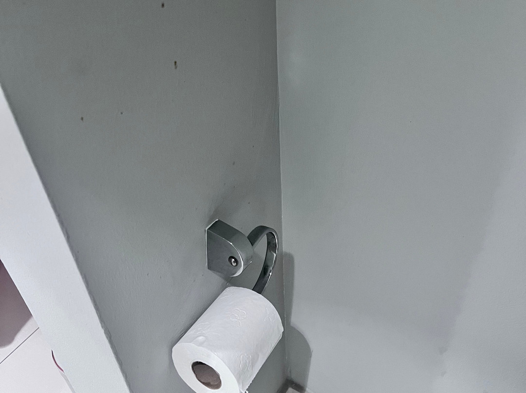 范德瓦尔克巴黎戴高乐机场酒店