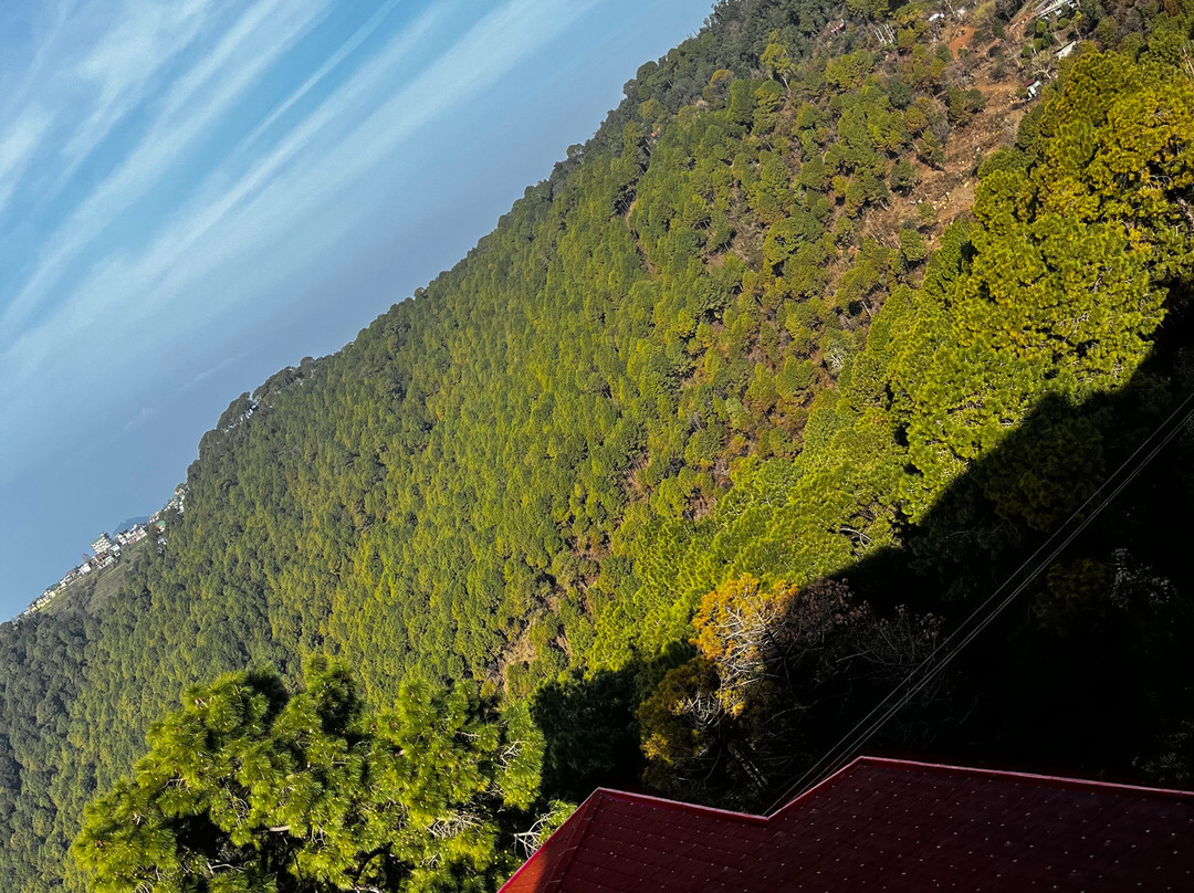 Best Western Plus Revanta主图