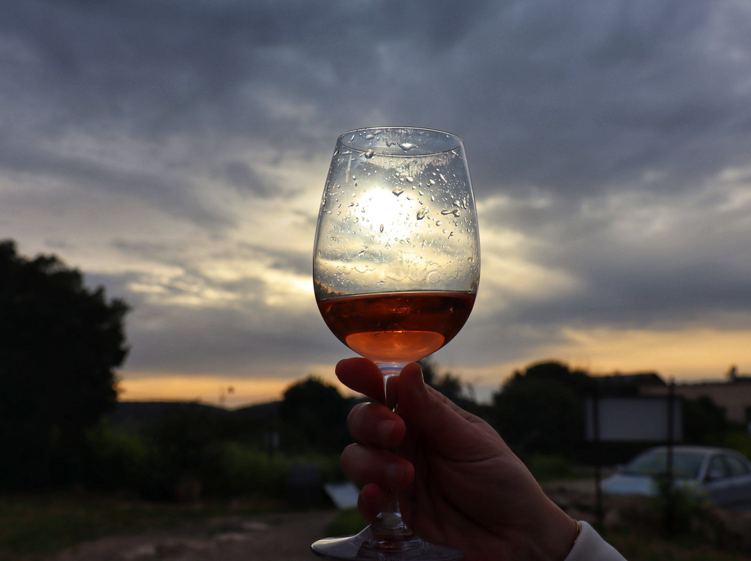 Kadma Winery-Kfar Uriah必去景点