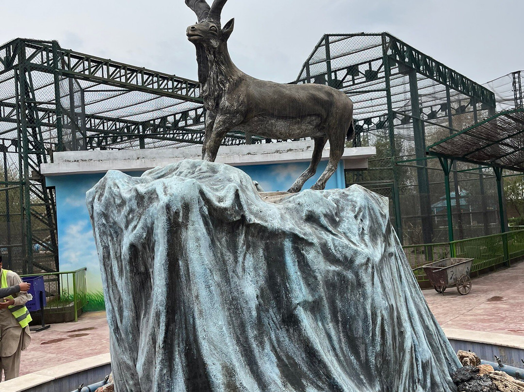 Peshawar Zoo-白沙瓦必去景点
