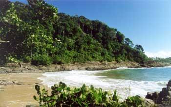 Siriaco Beach-Itacare必去景点