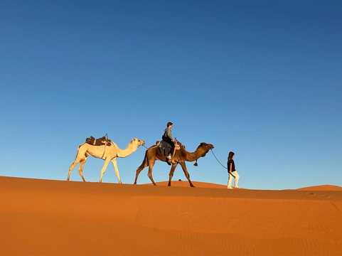 Sahara Morocco Travels-非斯必去景点