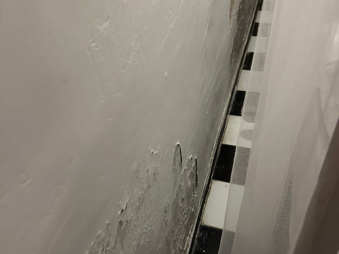 Turtle Eco Beach主图