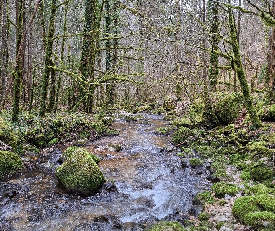 Gorges du Pichoux-Undervelier必去景点