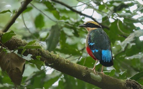 Wild Card Adventure-Kamwenge必去景点