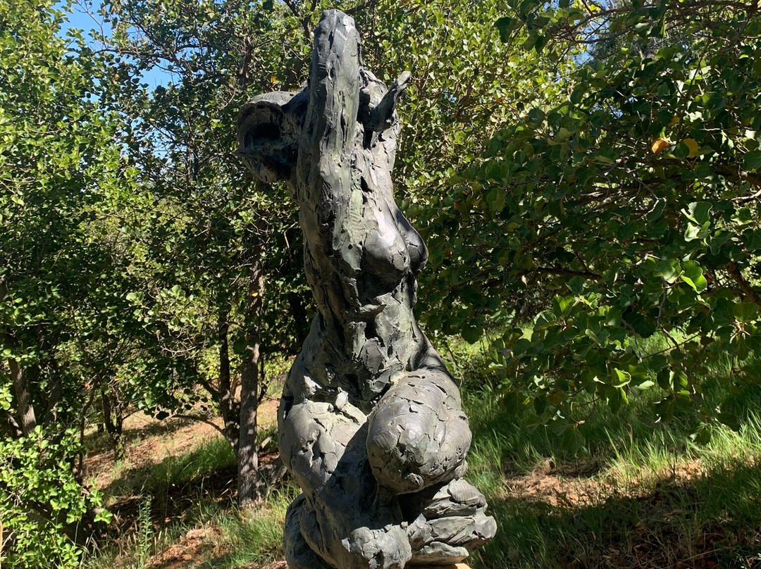 Dylan Lewis Sculpture  Garden-斯泰伦博斯必去景点