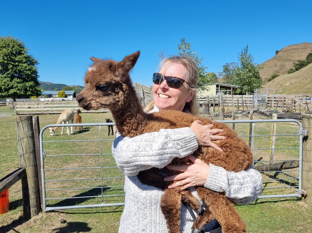 Nevalea Alpacas景点图片