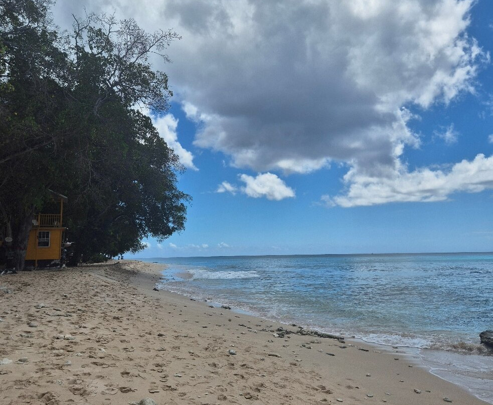Batts Rock Beach-布里奇顿必去景点