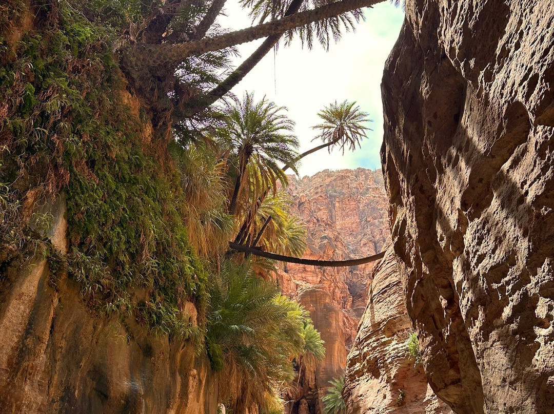 Wadi Ghuweir-null必去景点