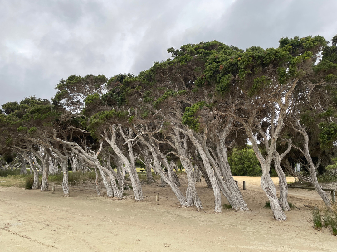 Nanarup Beach景点图片