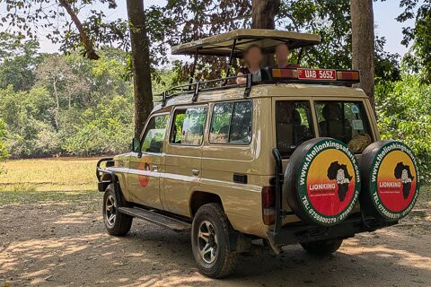 Lionking Safaris Limited景点图片