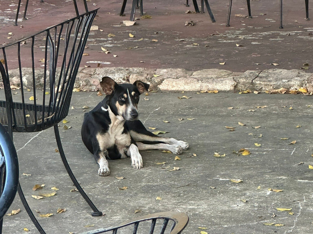 Hotel Rinconada Del Convento主图