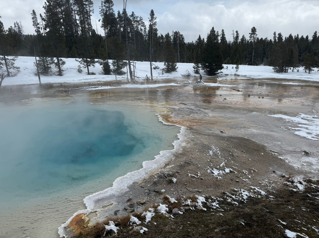 Scenic Safaris-杰克逊必去景点