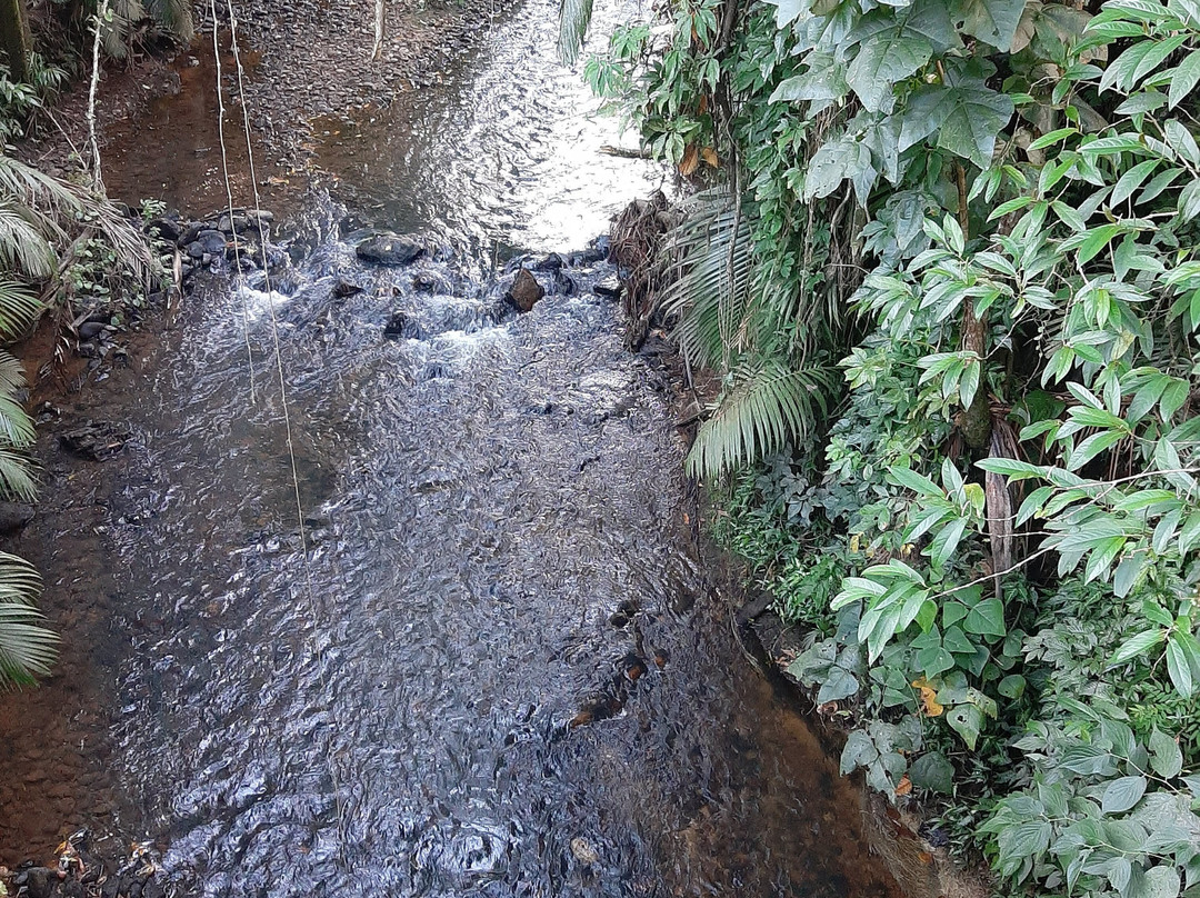 Cachoeira Salto da Fortuna景点图片