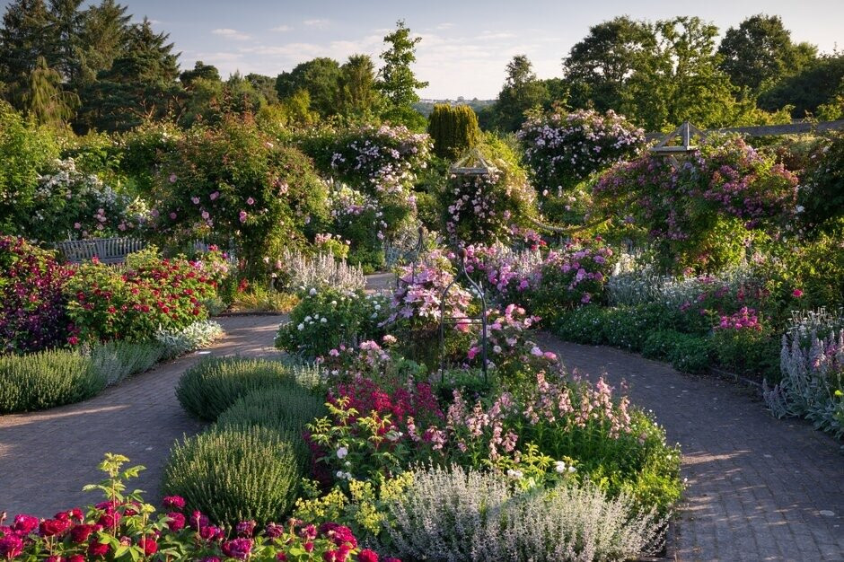 RHS Garden Rosemoor